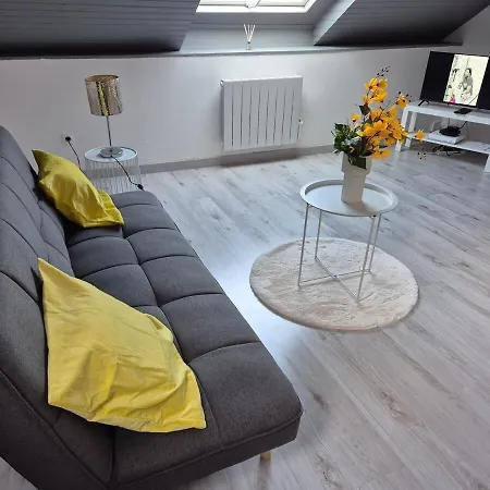 Elegant And Modern